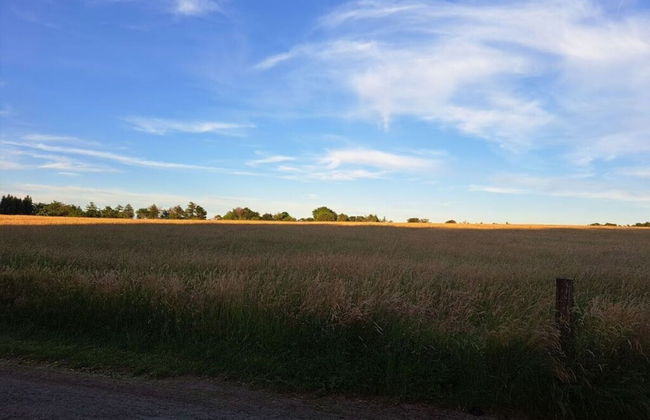 Holiday House on Bornfeld - Photo 21