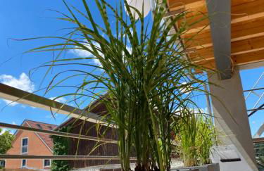 Idyllische Ferienwohnungen in Mossendorf - Foto 11