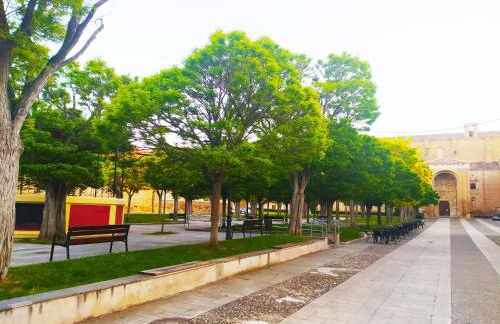 El Rincón de Pilar - Foto 7