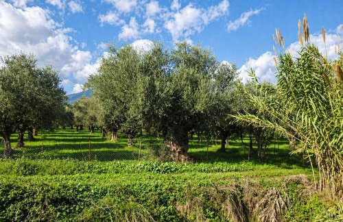 Valira Garden Retreat Near Ancient Messene - Foto 29