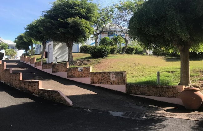 Marco Polo - Photo 38