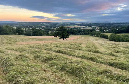 TVF Stable Suites - Foto 38