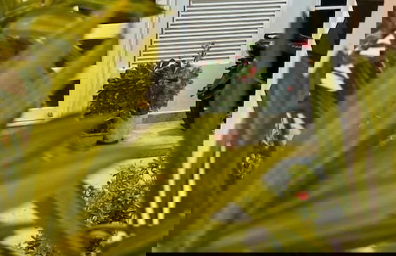 Di House Apart - Foto 42