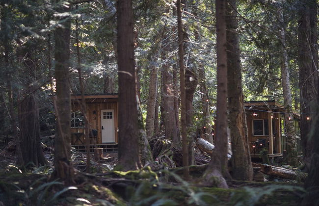 Heartwood Retreats - Photo 44