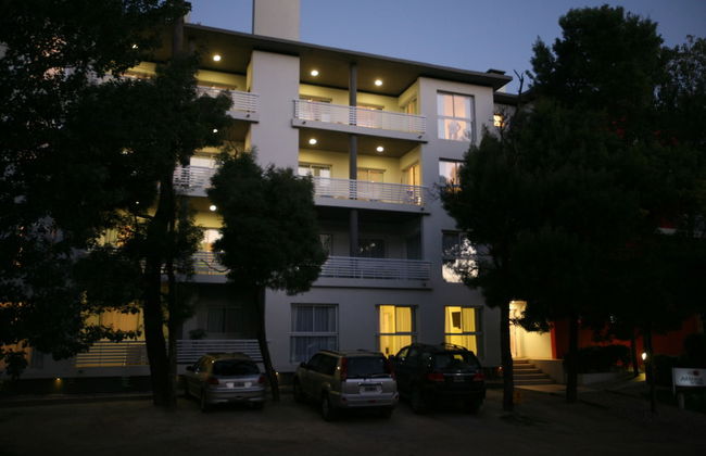 Avutarda de Carilo - Photo 70