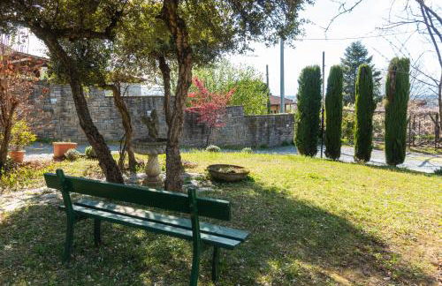 Alba Morus - Photo 31