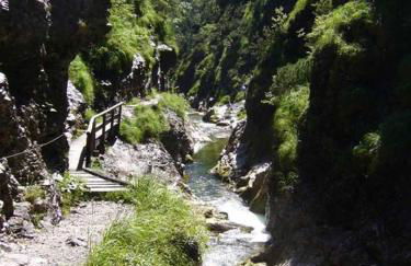 Haus Eicher - Foto 36