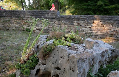 Apartments with parking space Sveti Lovrec, Central Istria - Sredisnja Istra - 24888 - Foto 8