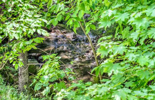 Mountainside 88 - Foto 15