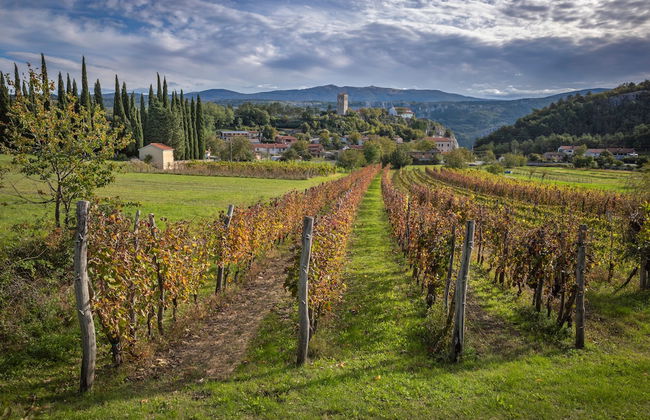 Luxury Pool Villa Gradin - Photo 42