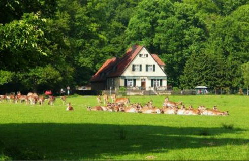 City-Apartment Dülmen - Foto 7