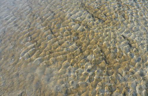 Altes Pastorenhus - Land und Meer - Foto 62