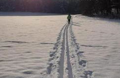 Ferienwohnung am Tor zum Thüringer Wald - Foto 19