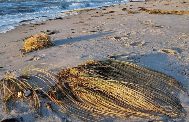 4 Star Holiday Home in Korsor - Foto 27