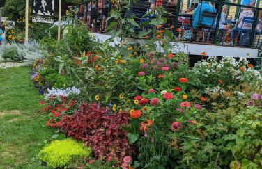 Historic 2 Cats Inn - Foto 10