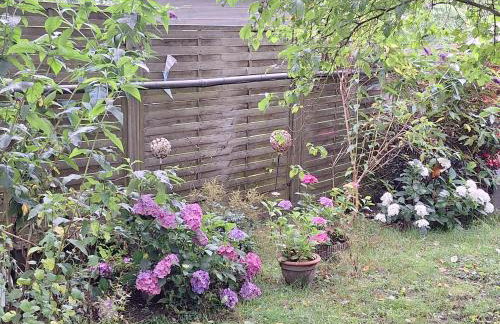 Pension Entenhausen - Foto 67