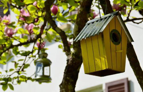 Le Gîte de l'Ecureuil - Foto 70