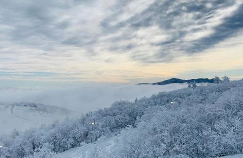 Elevation 5280 - Foto 35