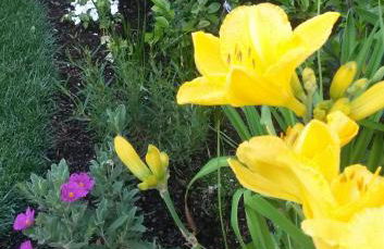 Giardino Sospeso Agriturismo - Foto 9