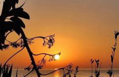 Chiocciola Apartment sul lungomare tremoli, parcheggio gratuito - Foto 28