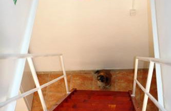 Apartments Iva Orebic - Foto 44