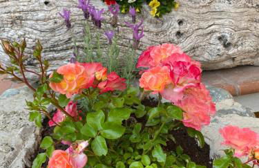 Azienda Agrituristica Benza - Photo 36