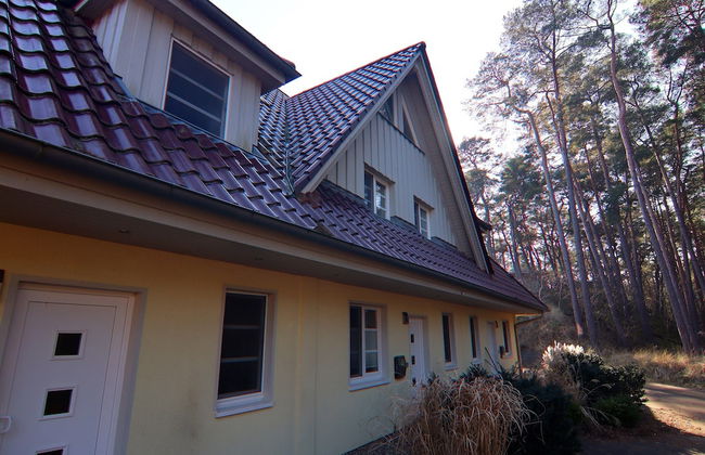 Reihenhaus Dunenwaldhaus in Trassenheide - Foto 45