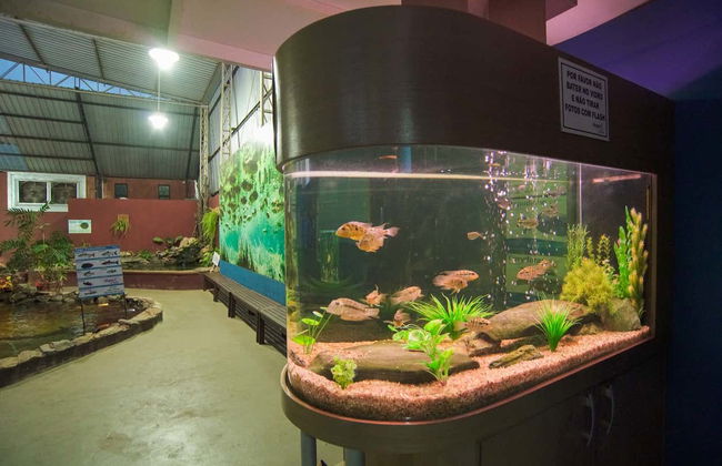 Bonito Aquarium Guided Tour - Photo 6