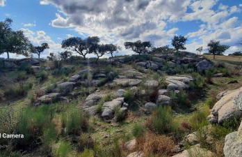 Casa Pitacas - Foto 51