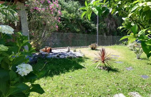 Casa de Casarelhos - Andar Moradia - Vistas rio - "Gerês" - Foto 77