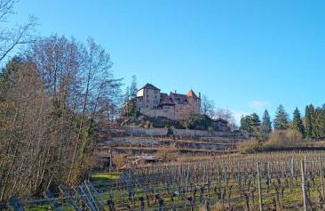 Bergheim Piscine - Foto 3