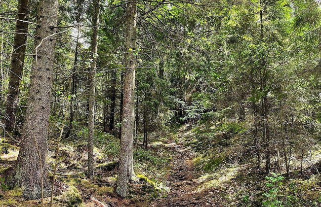 6 Person Holiday Home in Hacksvik-by Traum - Photo 11