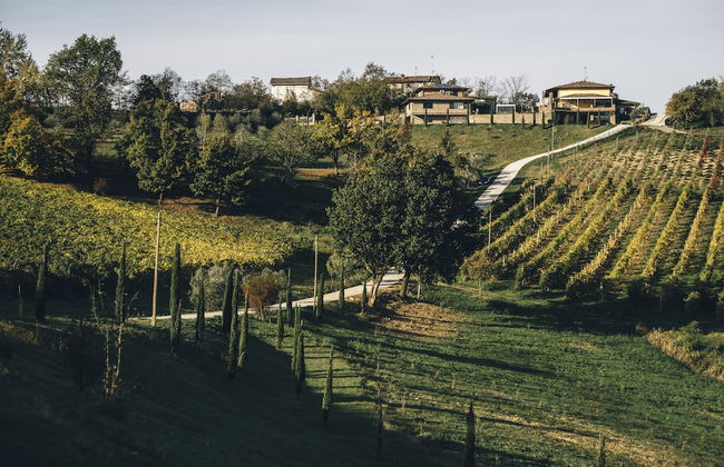 Agriturismo Acetaia Sereni - Foto 7