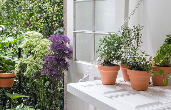 Vintage Higtligts By The Local Way - Foto 9