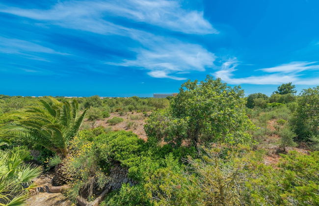 Barcelo-danus in Portocolom - Foto 31