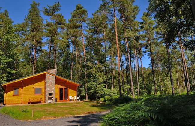 Chalet in Oignies With Wooded Surroundings - Foto 23