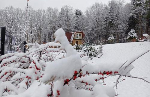 Szumią Dęby - Marcyporęba - Photo 50