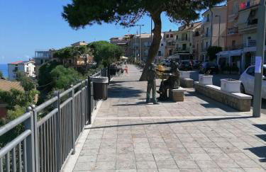 Stella marina - Foto 25