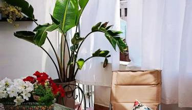 Nicuzzaduci Home - Foto 2