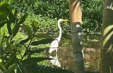 Rancho Refugio Verde AL - Foto 22