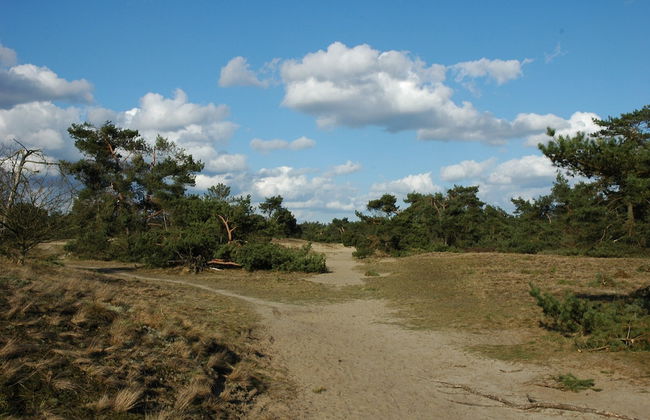 Romantic Wellness Escape - Photo 40