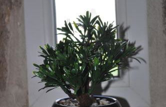 Robinson by Creusoé - Foto 9