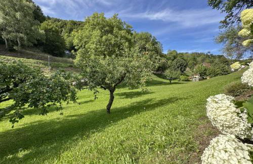 Gläserberg - Foto 17