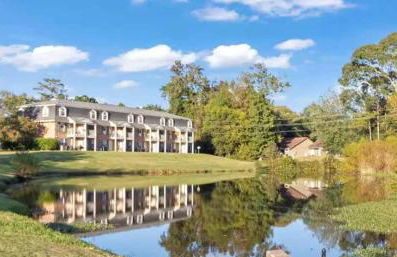 Gorgeous Condo across from Vet School - Foto 36