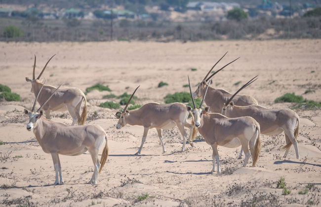 L'Ermitage Quagga Lodge - Photo 25