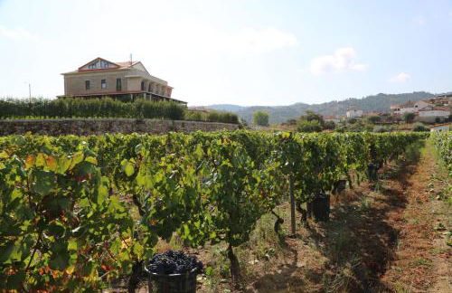 Quinta do Palame - Foto 21