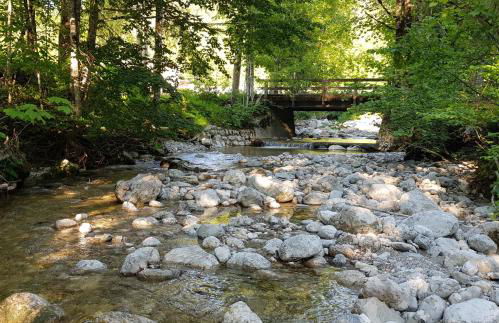 Alpina Inzell Wohnung 454 - Foto 34