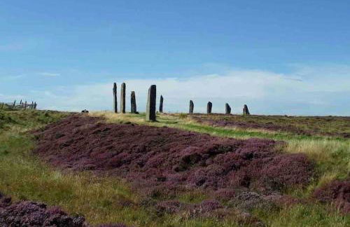 51 Dundas Street - Foto 14