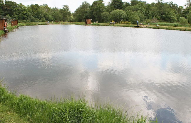 Cozy Holiday Home in Hovborg near Community Area - Foto 3