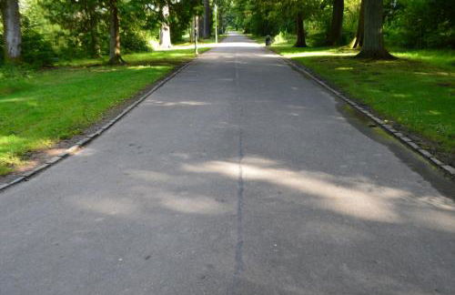 The Old Smiddy Cottage and Apartment - Foto 37